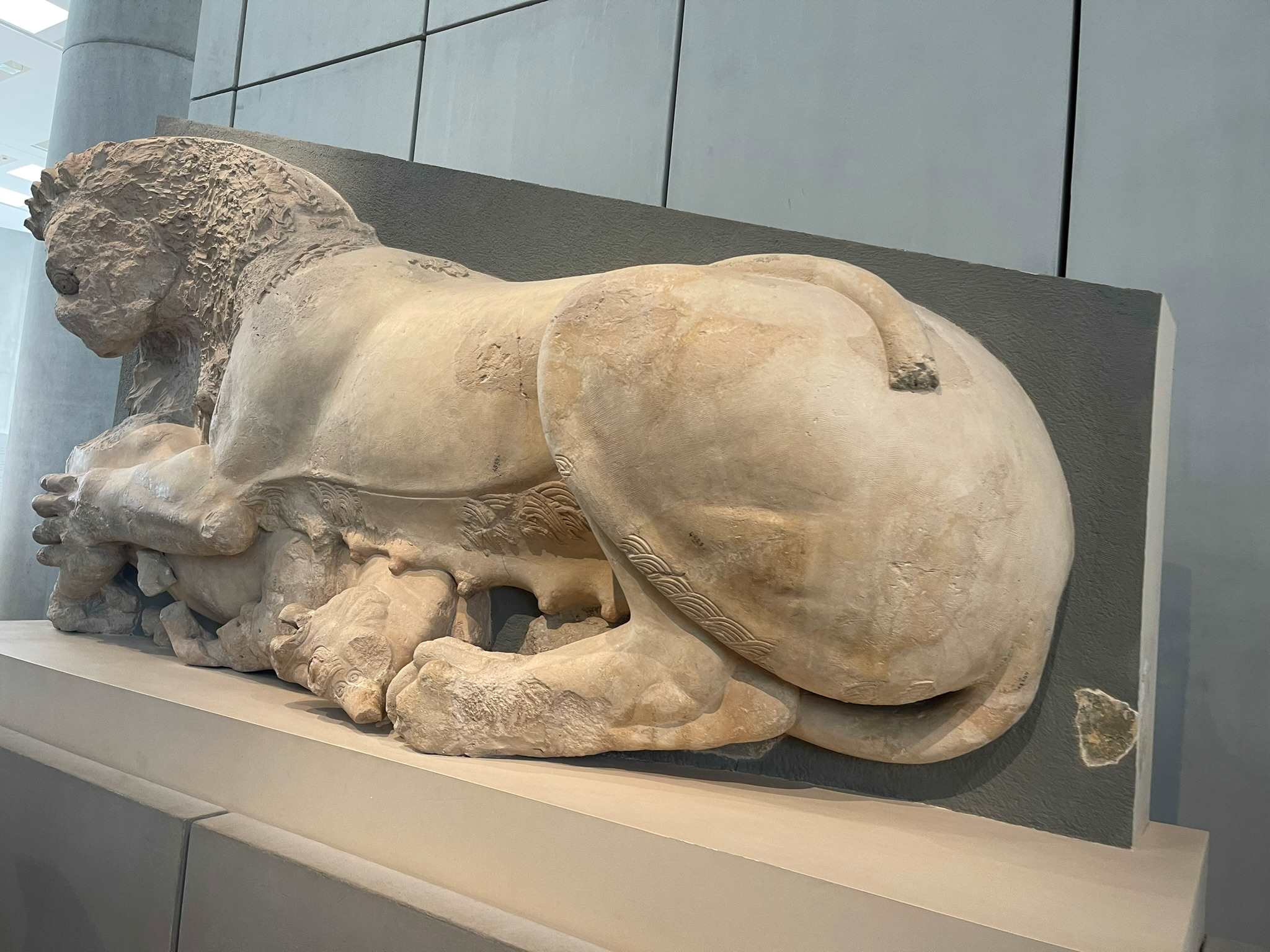 Very old sculpture of female lion at the Acropolis Museum in Athens, Greece